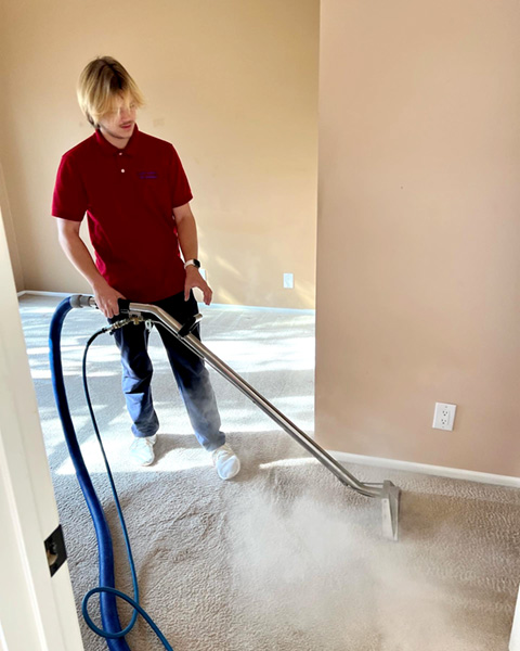 steam cleaning carpet in a home
